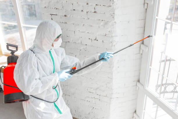 Why You Should Choose Our Mold Remediation Services in Volcano Golf Course, HI